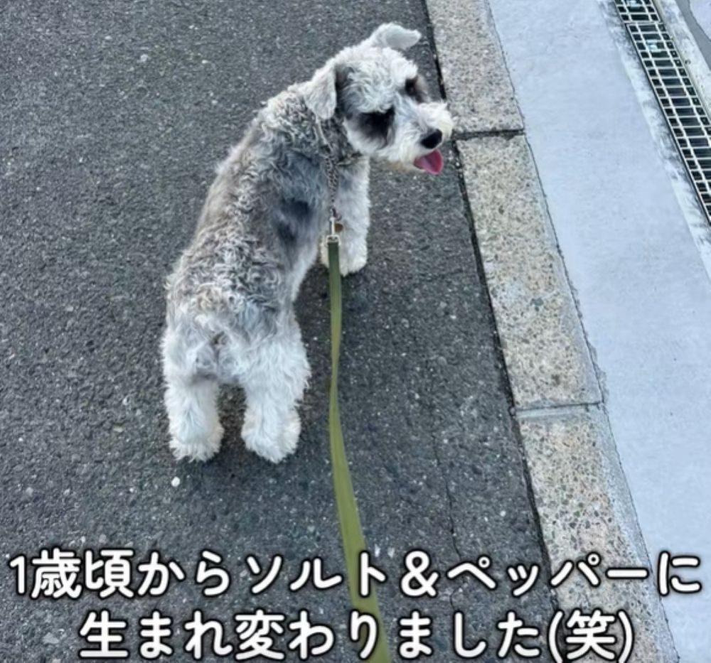 まるで生まれ変わったかのよう（＠mgnmgnmgn0927さんより提供）