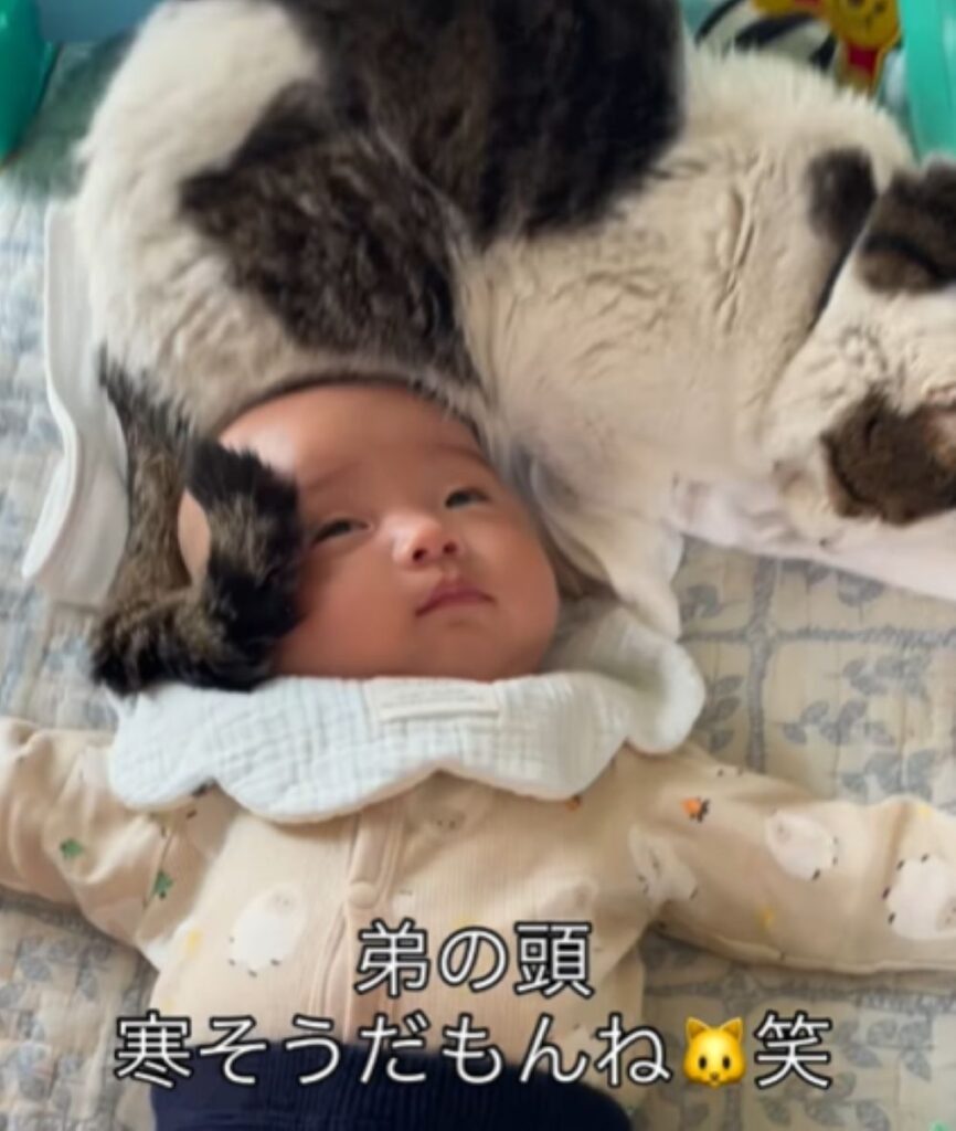 【実際の写真】頭が寒そうな息子さんとその後の展開