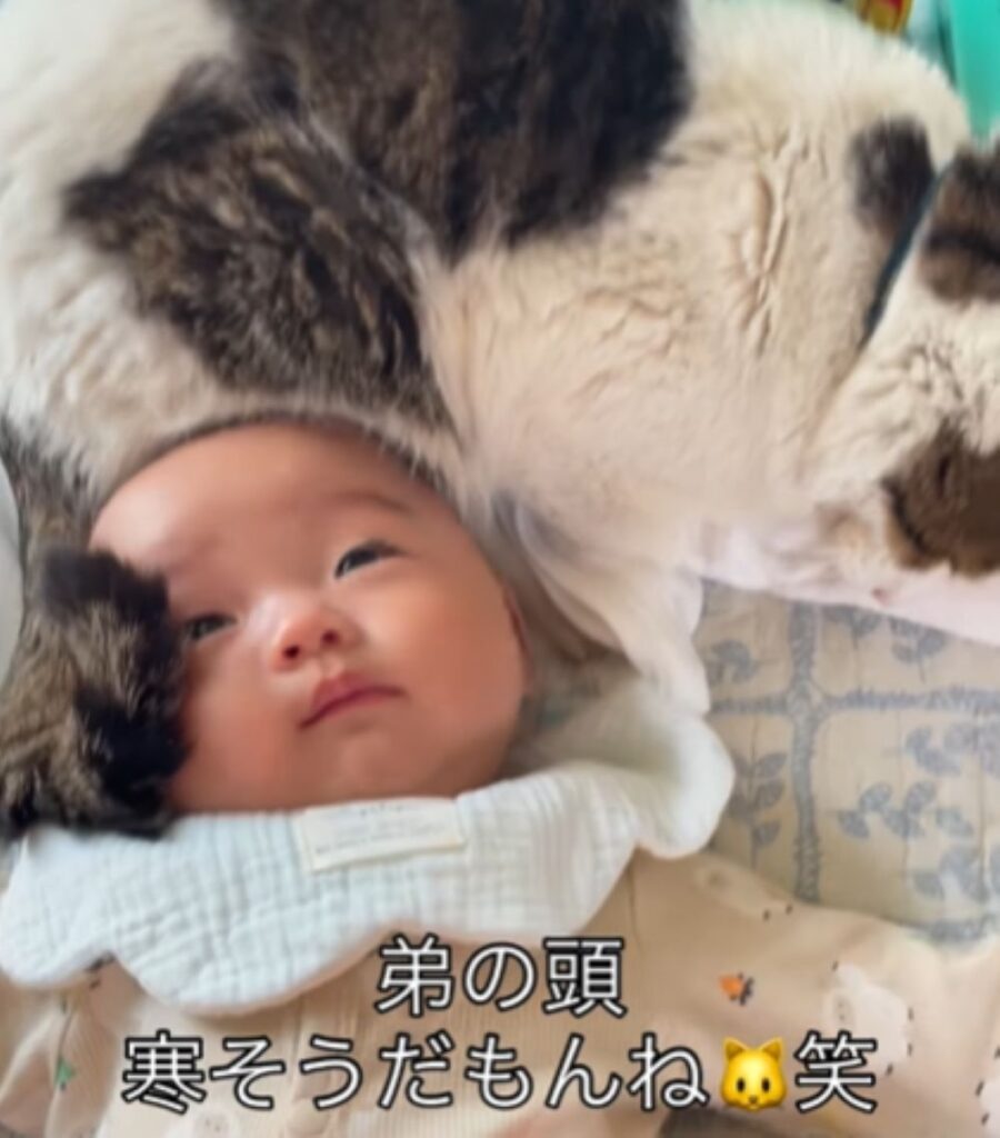 寄り添うまぐろくん②（＠kinatama_gomamさんより提供）