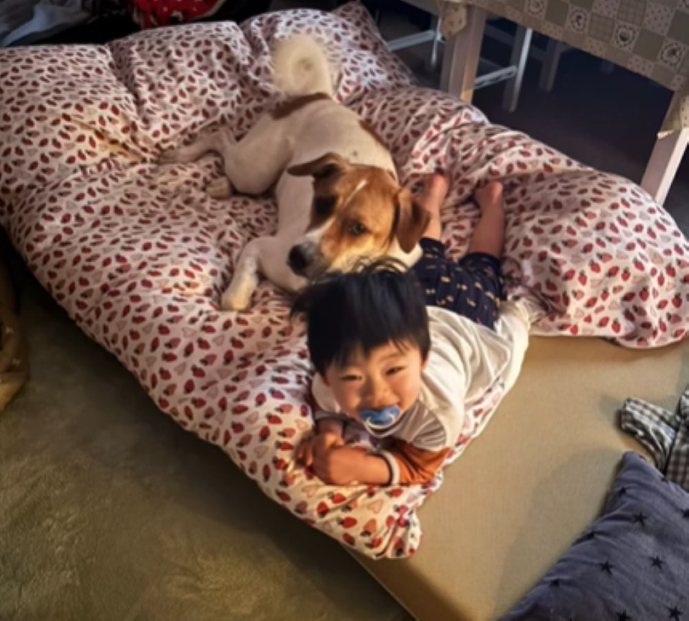 大夢くんとお孫さん②（＠dada_chiakiさんより提供）