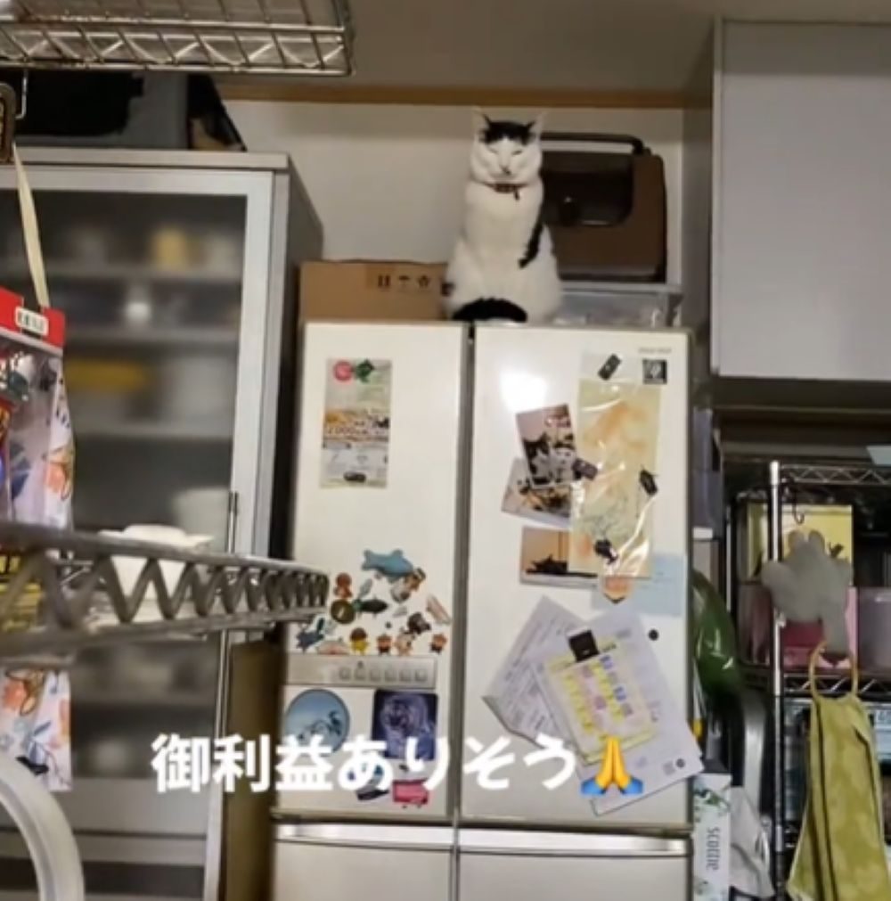 【実際の写真】違和感の正体