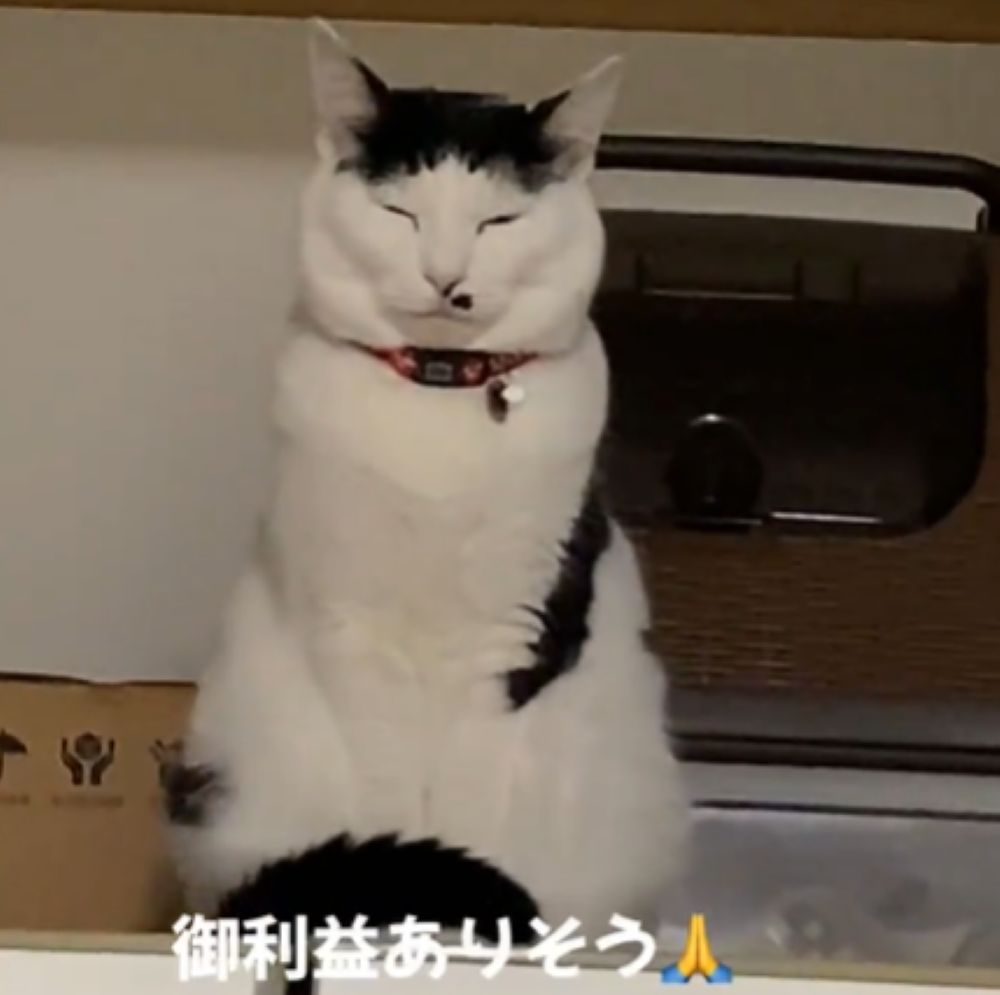 ご利益がありそうな姿（＠user58652884610054さんより提供）