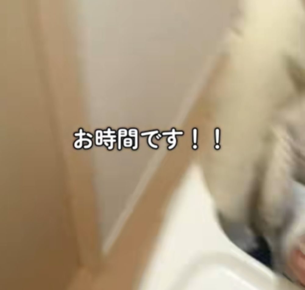 残念ながら時間切れ（＠aka.ultraman1さんより提供）