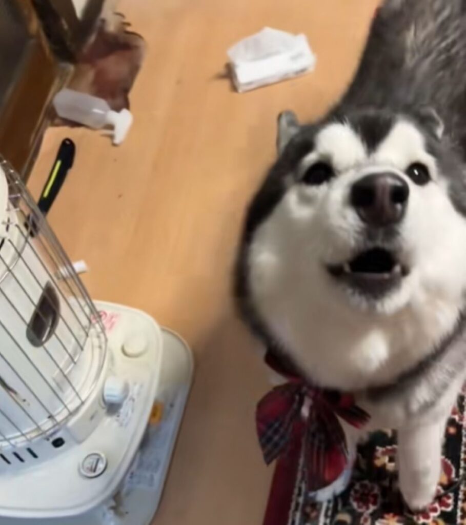 近付いてきた章末ちゃん（＠shoomatu0610さんより提供）