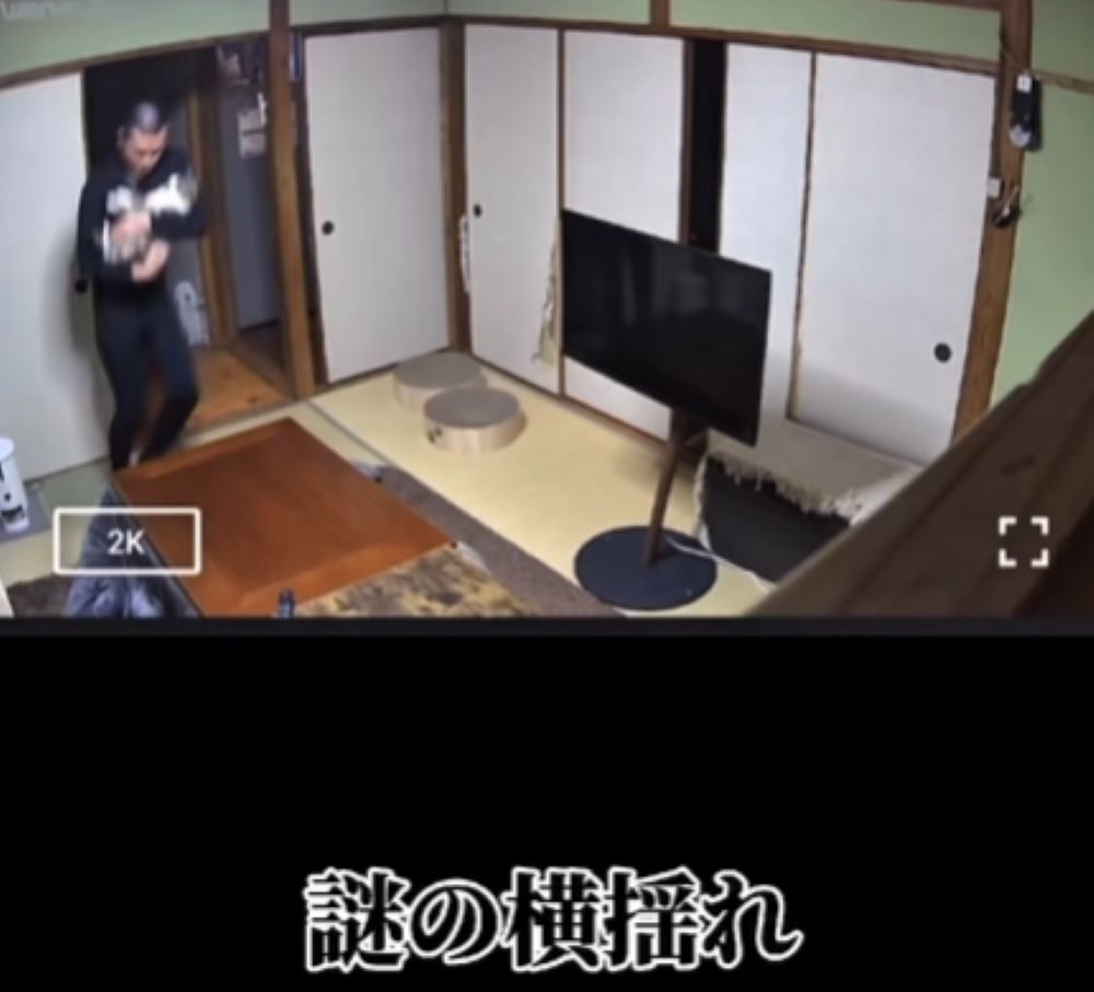 横揺れする旦那さん（＠gesshokutohirumaさんより提供）