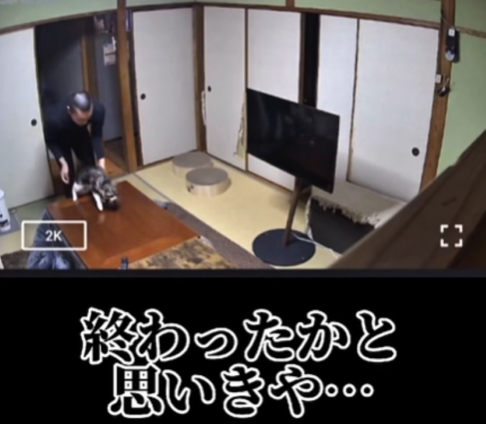 月食くんをおろすと…（＠gesshokutohirumaさんより提供）