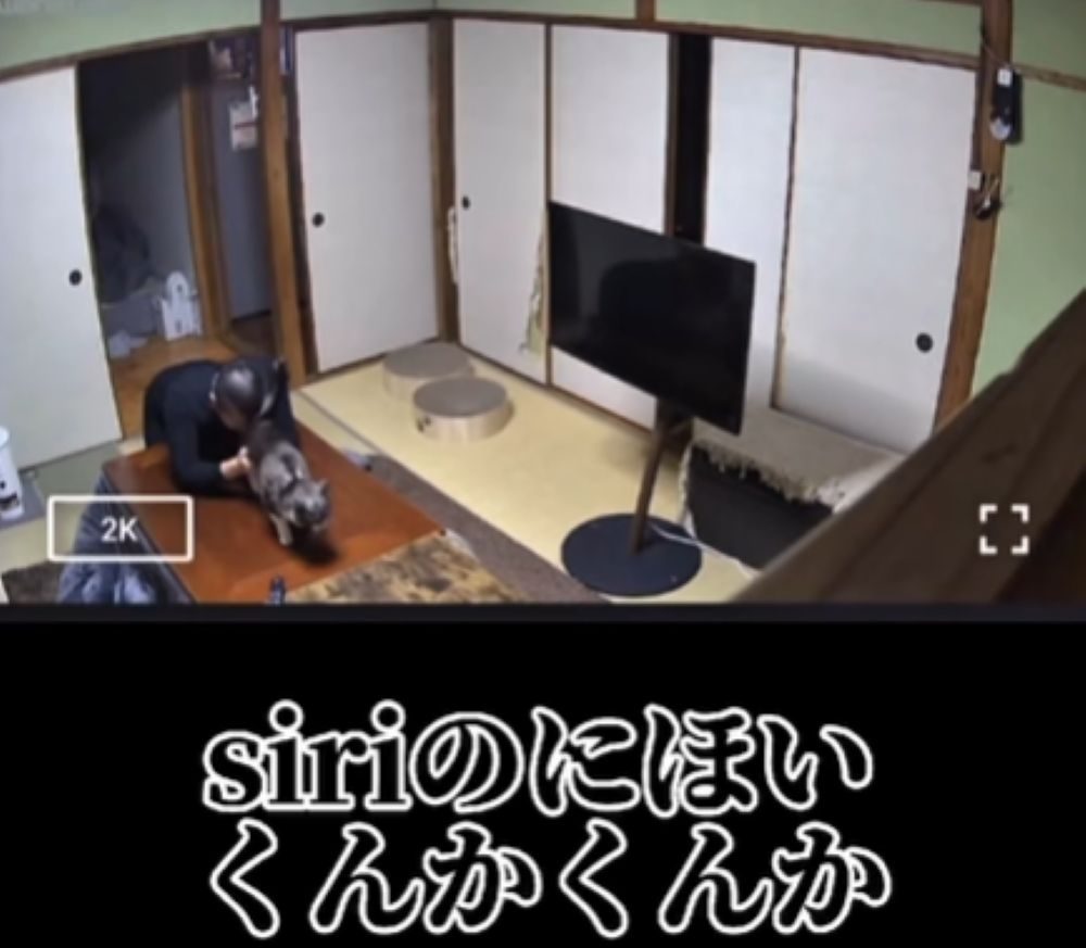 においをかぐ旦那さん（＠gesshokutohirumaさんより提供）