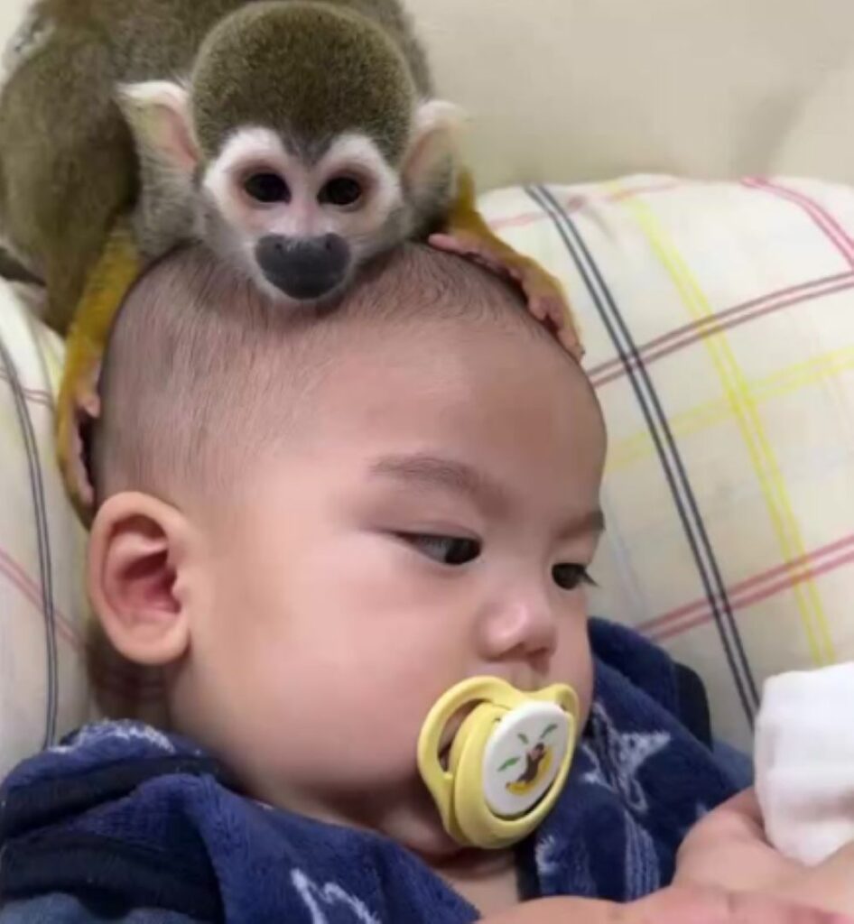 【実際の写真】お子さんの頭の上