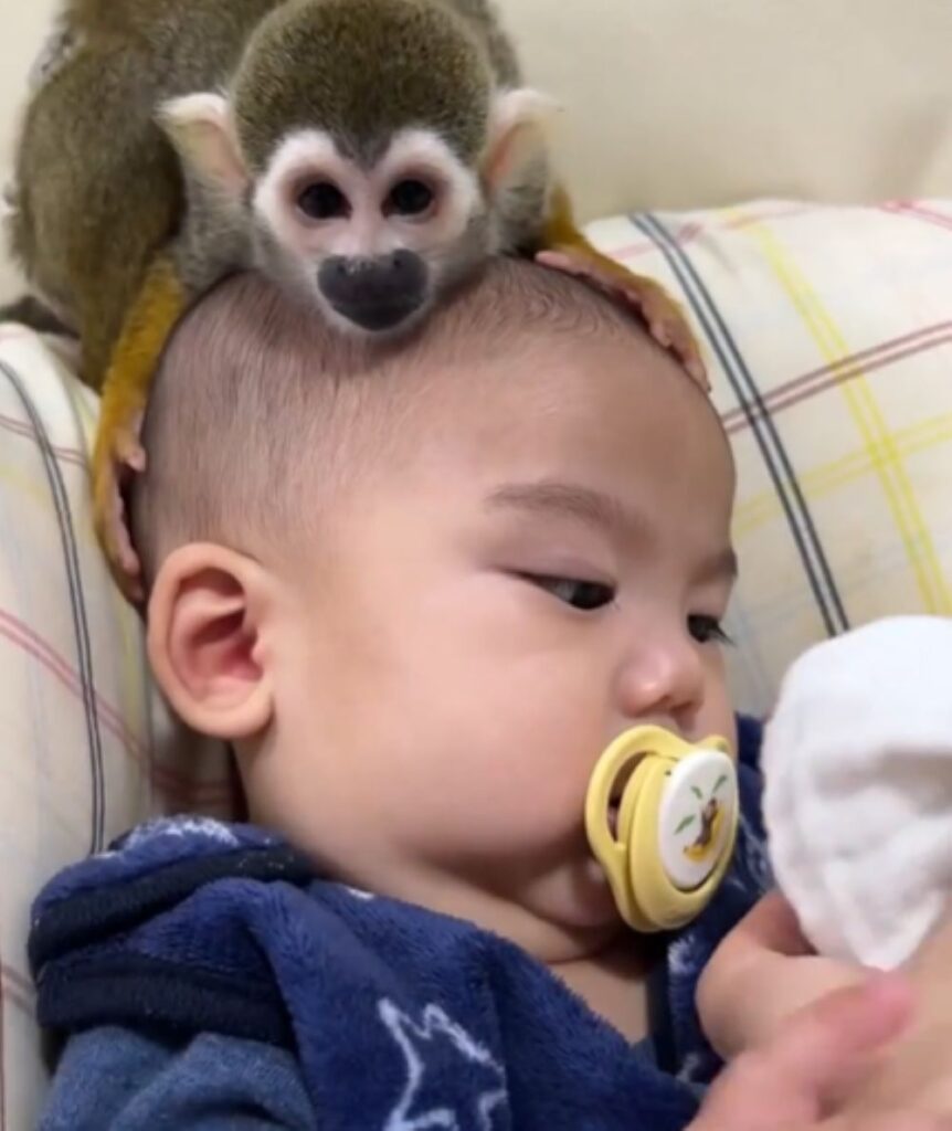 お子さんとピピちゃん②（＠monkeypipi.0816さんより提供）