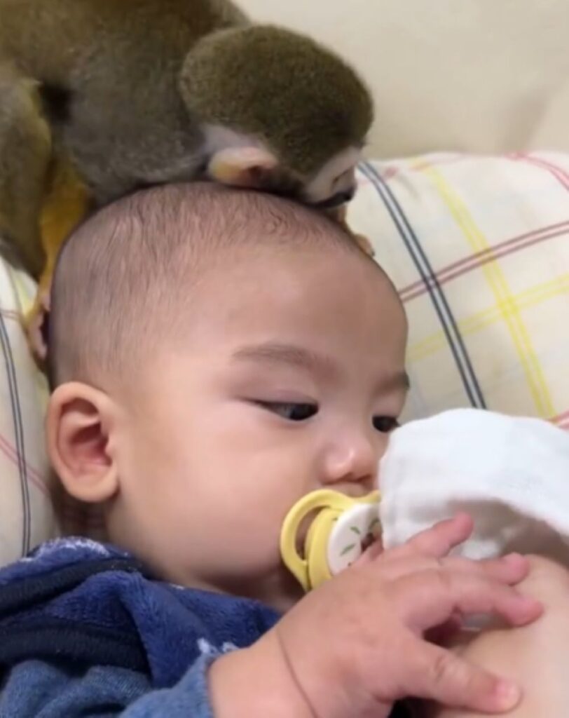 お子さんとピピちゃん③（＠monkeypipi.0816さんより提供）