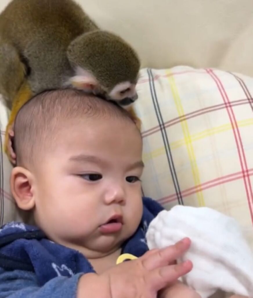 お子さんとピピちゃん④（＠monkeypipi.0816さんより提供）