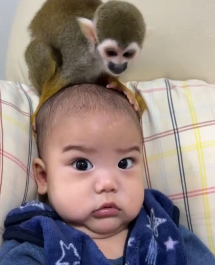 お子さんとピピちゃん⑤（＠monkeypipi.0816さんより提供）