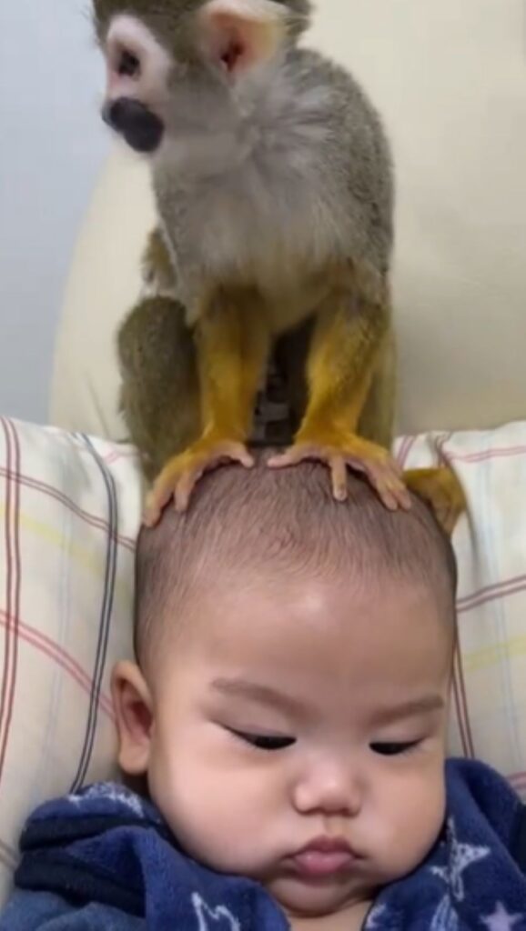 お子さんとピピちゃん⑥（＠monkeypipi.0816さんより提供）
