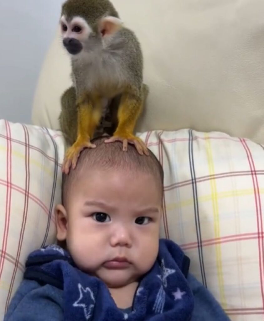 お子さんとピピちゃん⑦（＠monkeypipi.0816さんより提供）