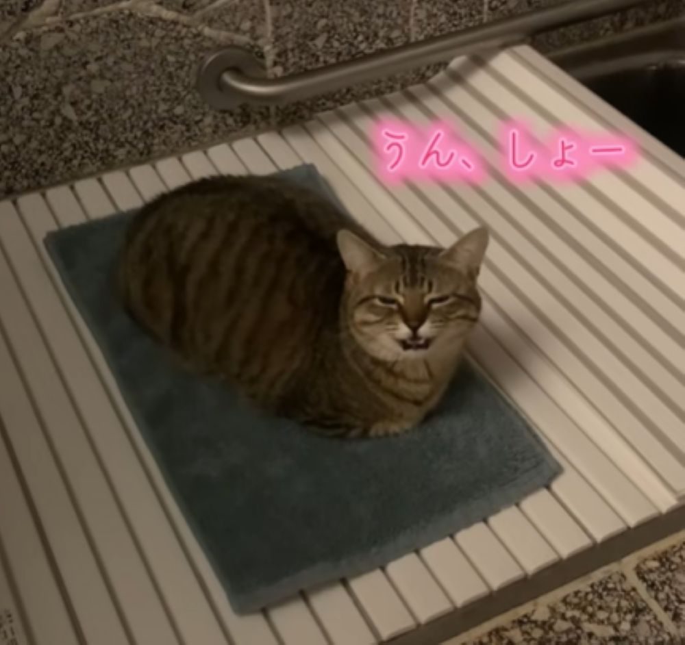 気持ちよさそうな様子（＠popo09242さんより提供）