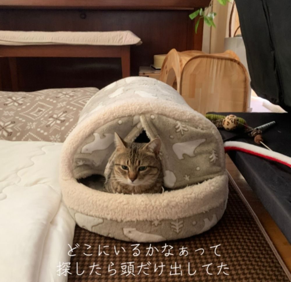 普段の様子①（＠popo09242さんより提供）