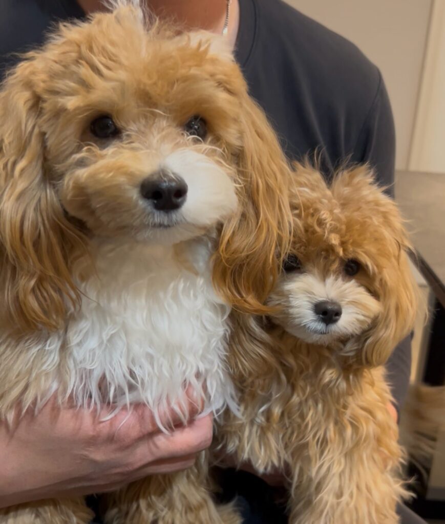 普段の様子④（＠ponta1212puta320さんより提供）