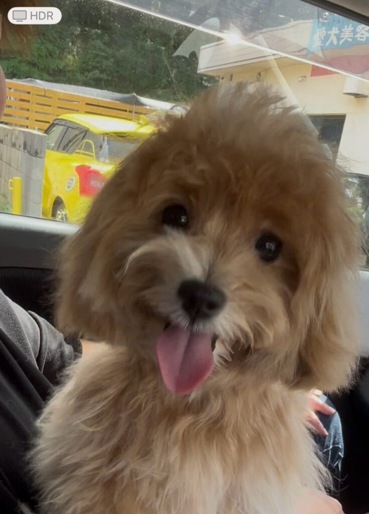 普段の様子⑥（＠ponta1212puta320さんより提供）