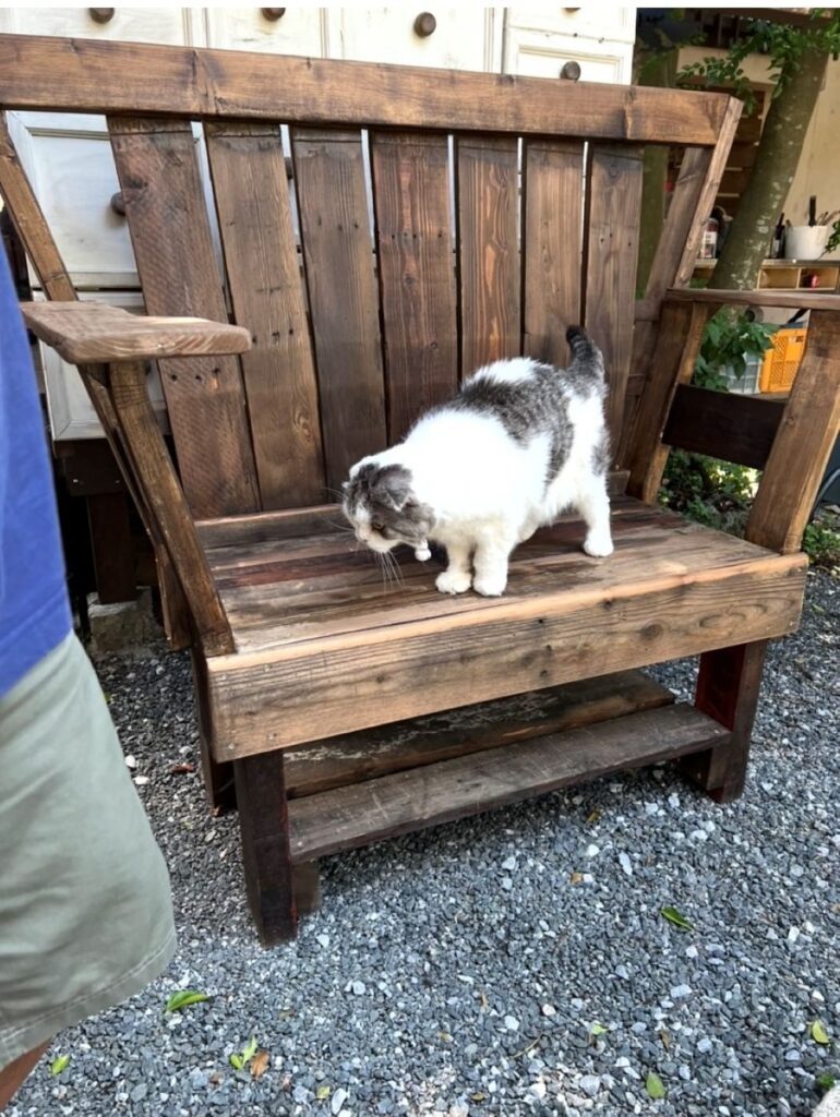 【実際の写真】娘さんが見つけた違和感