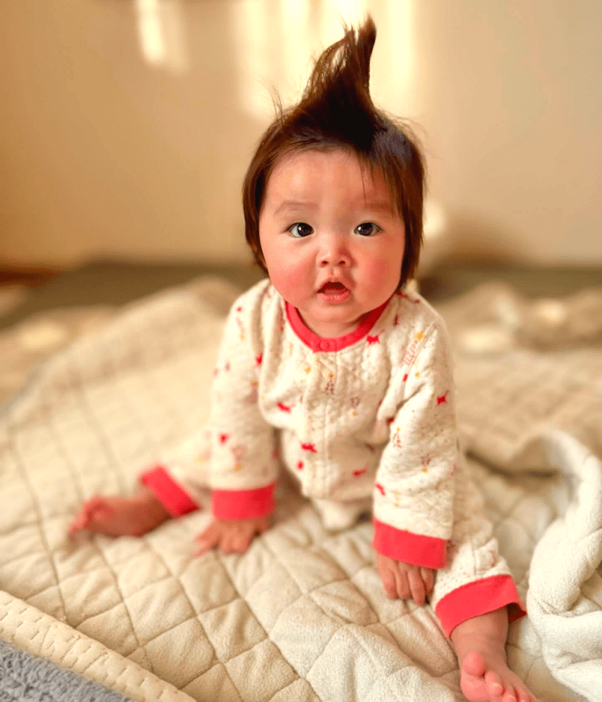 娘さん⑥（@ryosuke0526さんより提供）