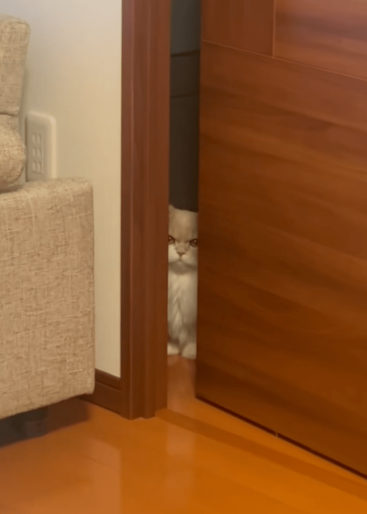 注意したら…（＠biju0703さんより提供）