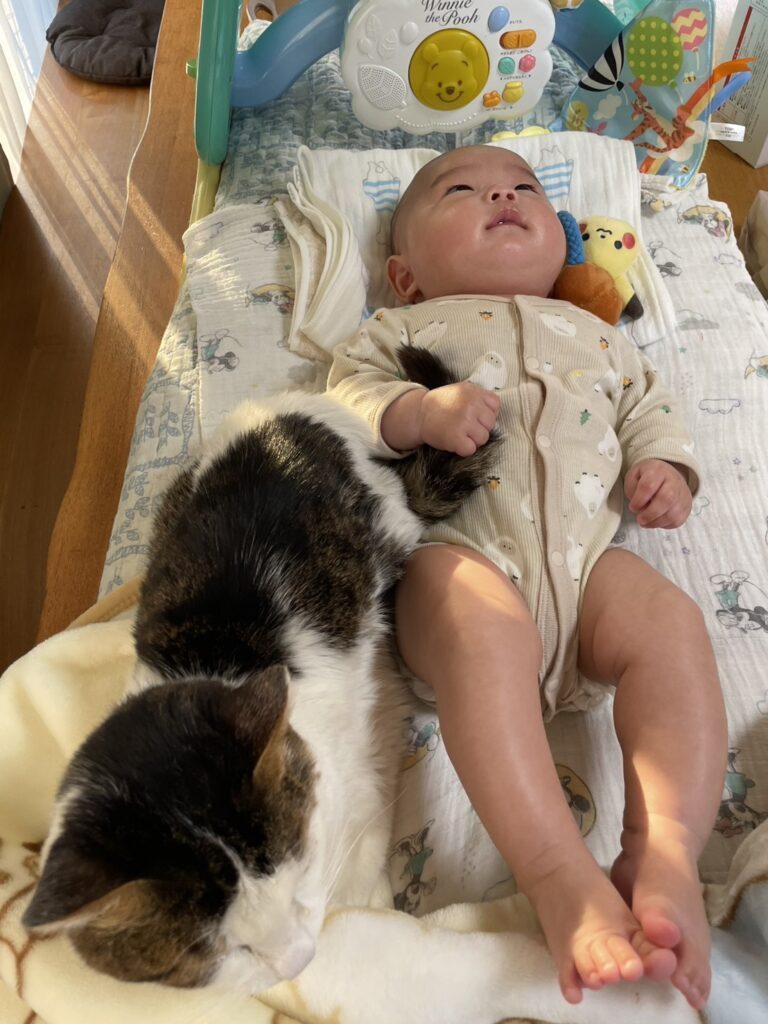 普段の様子②（＠kinatama_gomamさんより提供）