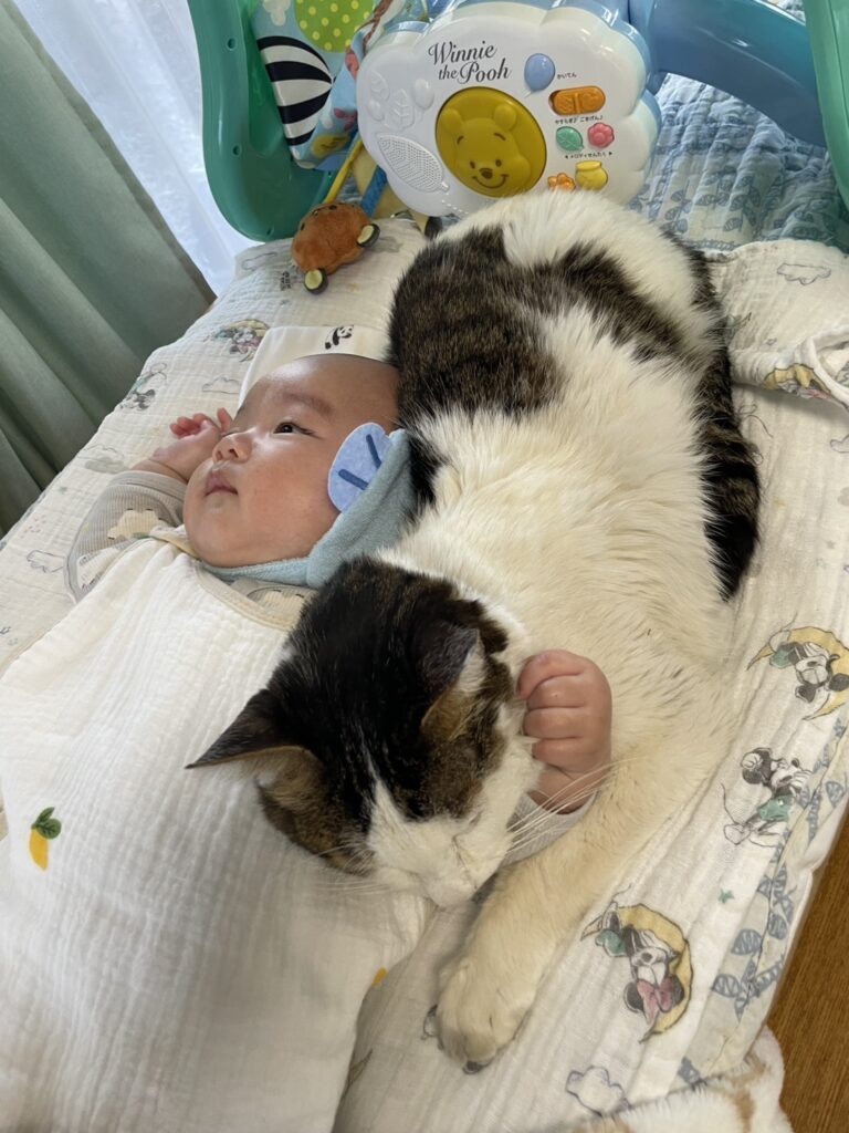 普段の様子③（＠kinatama_gomamさんより提供）