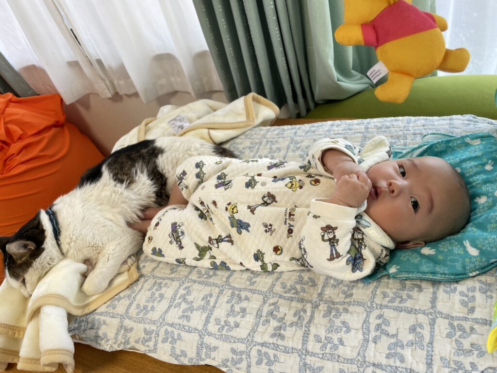 普段の様子④（＠kinatama_gomamさんより提供）