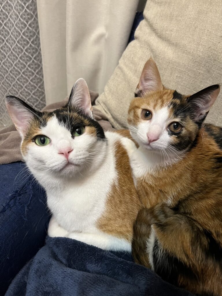 保護されてからの様子⑦（＠t.h.u.s.h.13さんより提供）