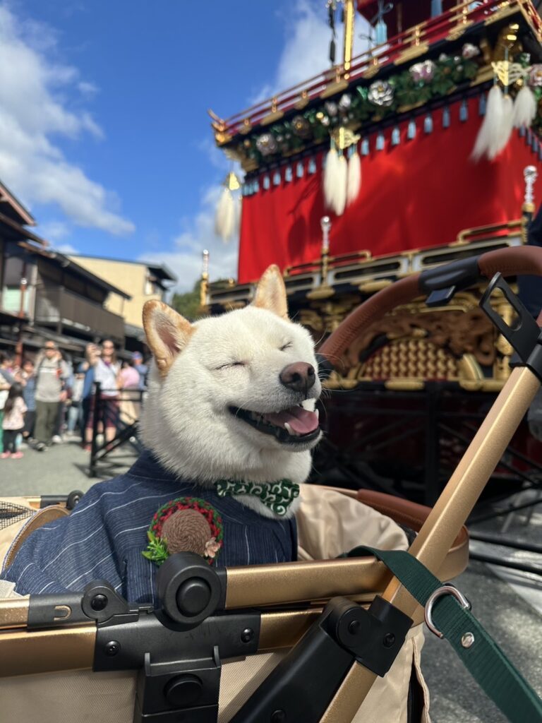 お祭でのこはくくん②（＠gaj259さんより提供）