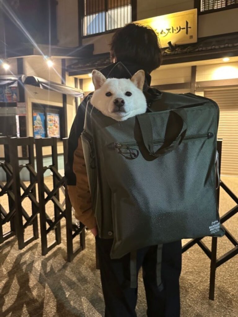 人混みに行くとき（＠gaj259さんより提供）