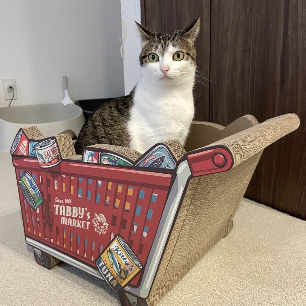 すっかり大きくなりました（@mimimoku324さんより提供）