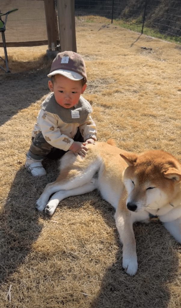 現在の息子さんとおてんとうまるくん①（＠shiba.otenさんより提供）