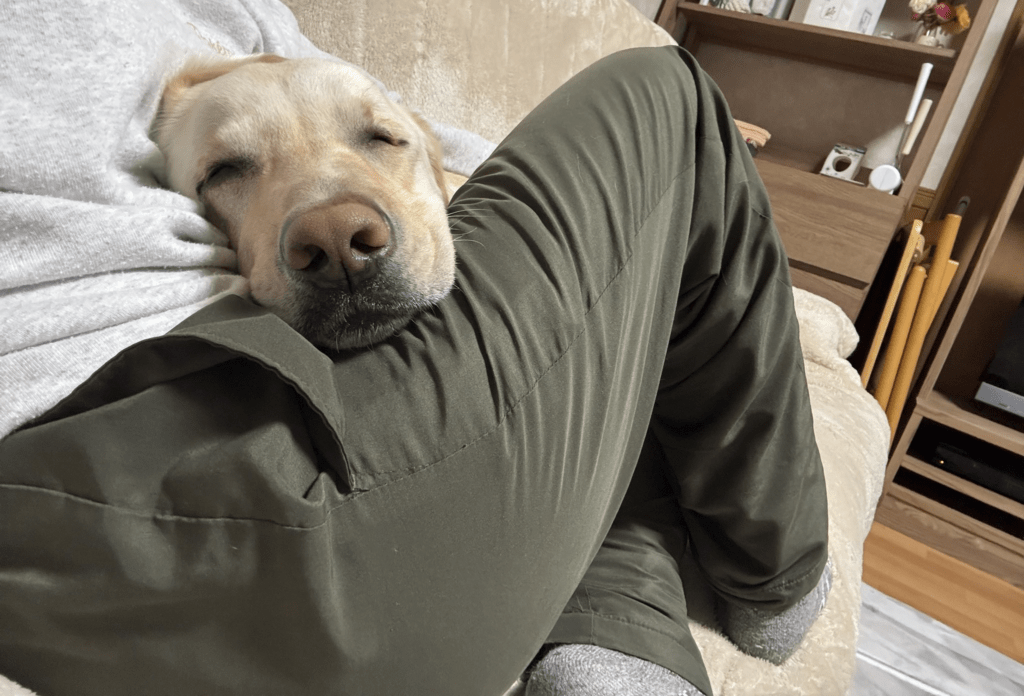 【実際の写真】実際に渡された診察券