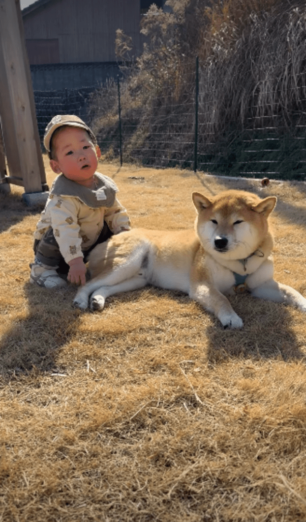 現在の息子さんとおてんとうまるくん②（＠shiba.otenさんより提供）