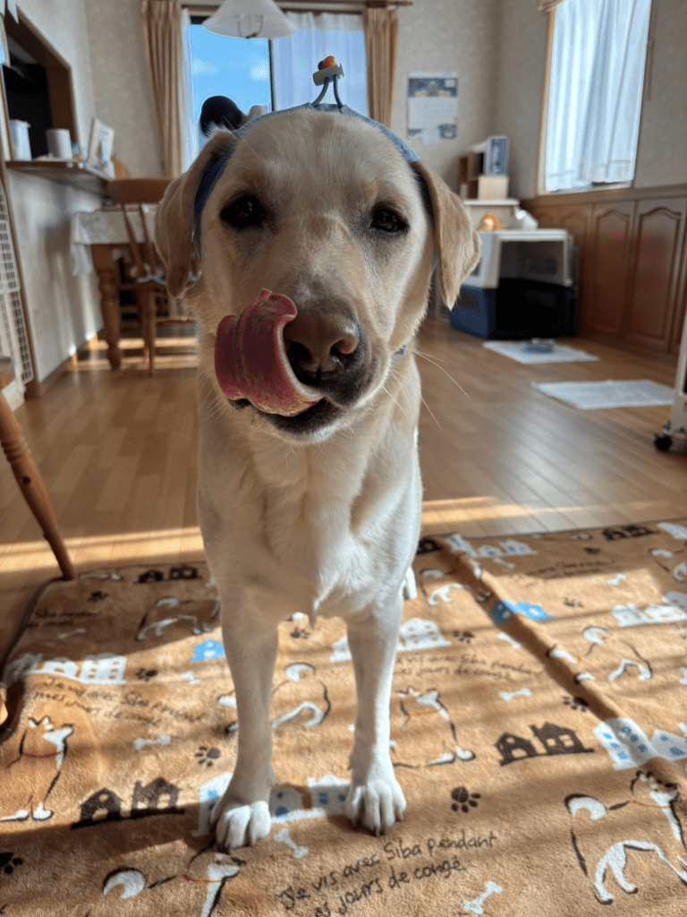 その他のエルくんの写真③（＠eru0902さんより提供）