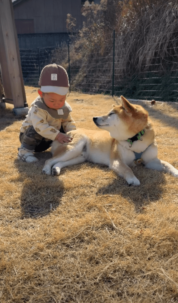 現在の息子さんとおてんとうまるくん⑤（＠shiba.otenさんより提供）
