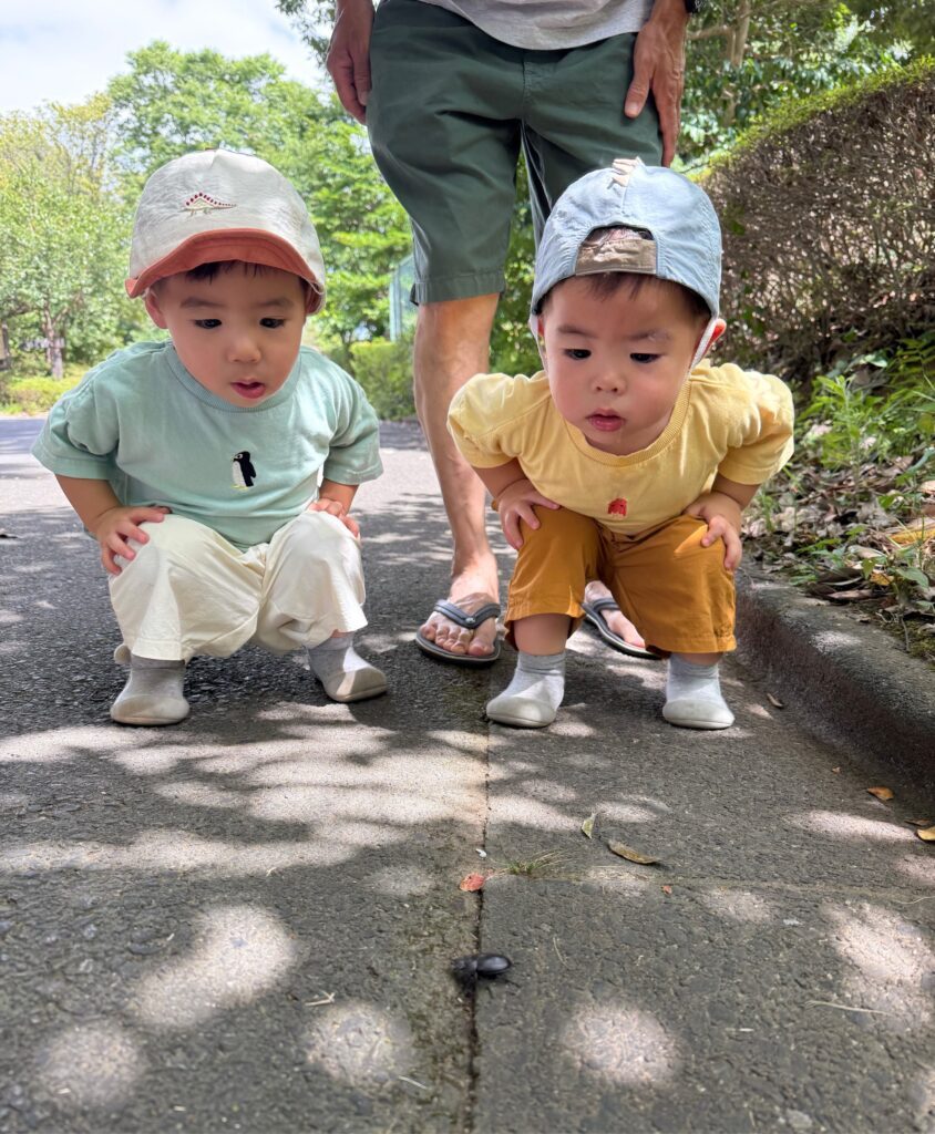 普段の様子④（＠fukutoku_channelさんより提供）