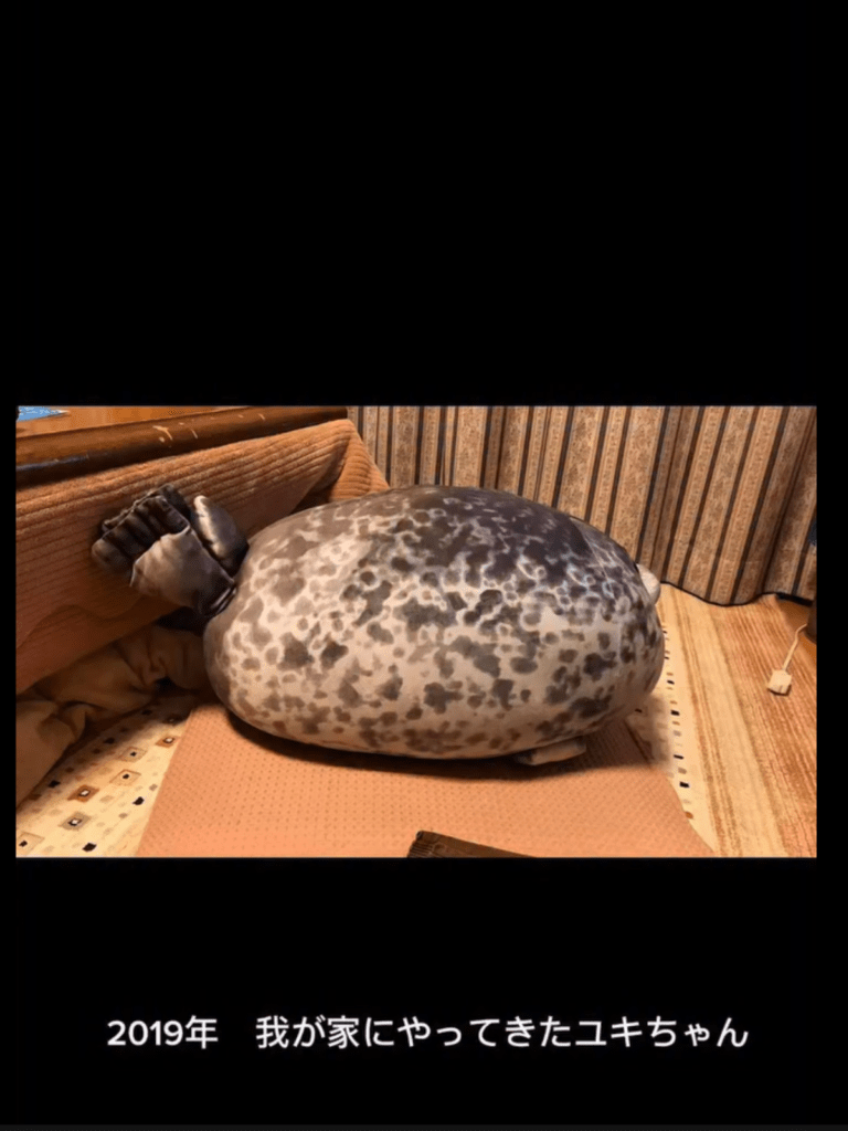 綿詰め前の様子③（＠hotatenoie248さんより提供）