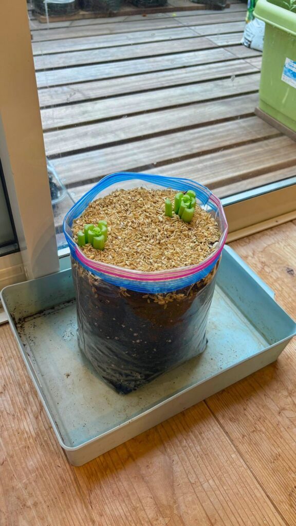 再生スタート（@HACK1136さんより提供）