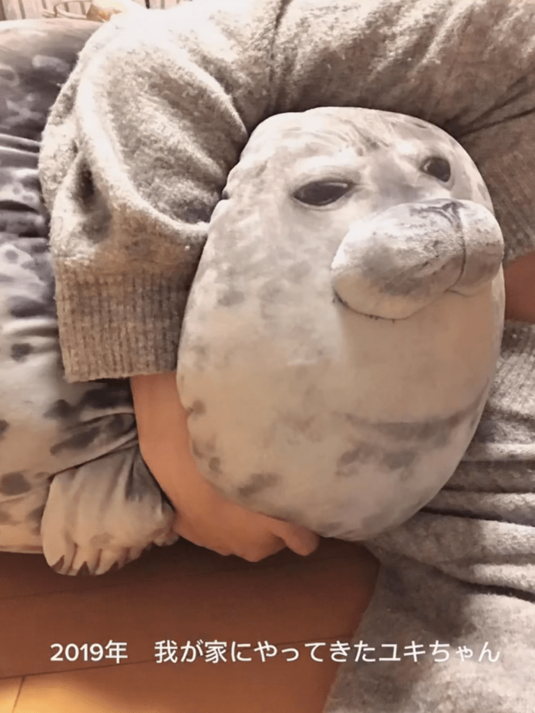 綿詰め前の様子④（＠hotatenoie248さんより提供）