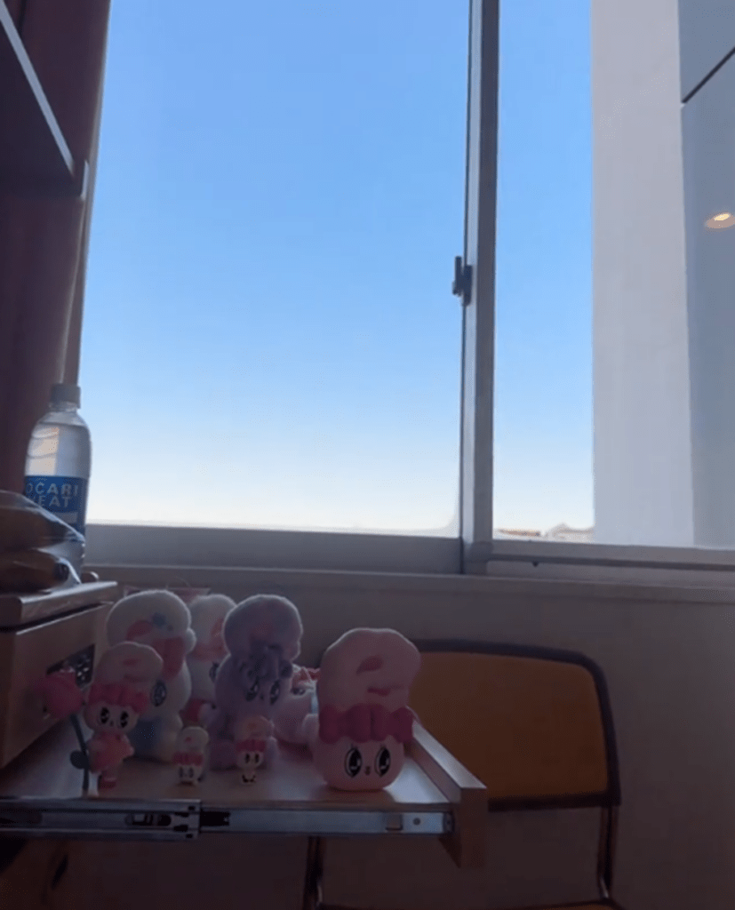 入院中③（@shizuka_na_hibiさんより提供）