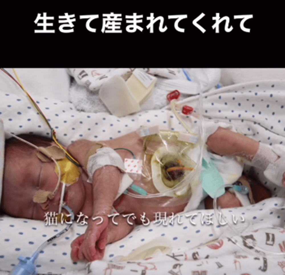 入院中①（@mi_nosuke10さんより提供）