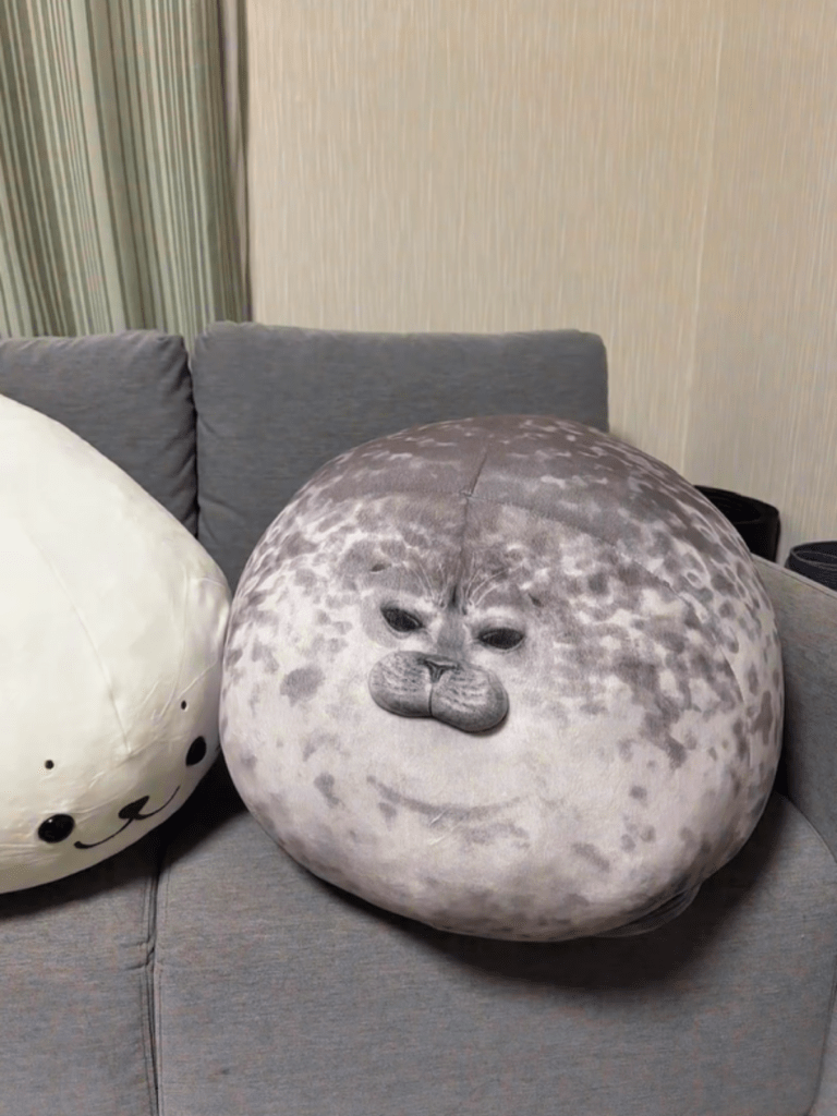 綿詰め後の様子③（＠hotatenoie248さんより提供）