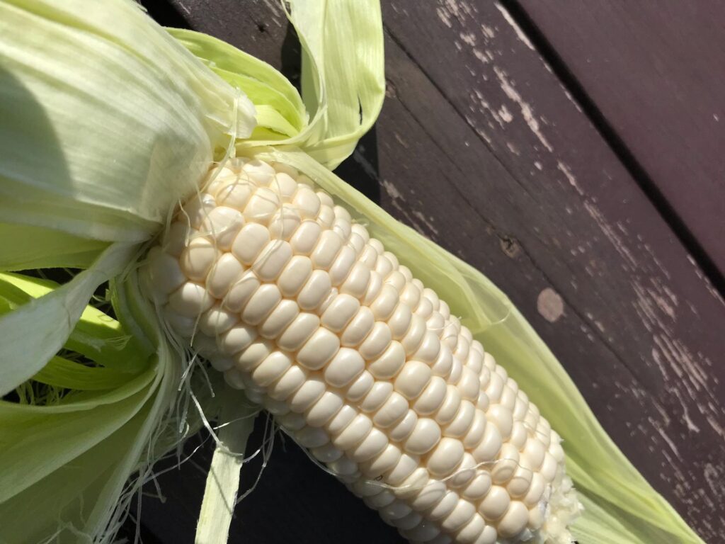 差し入れのとうもろこし①（＠121canim121さんより提供）