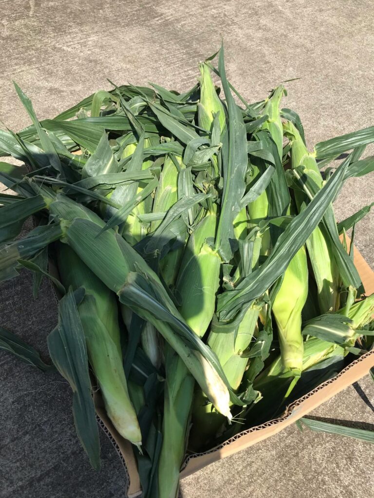 【実際の写真】軽トラが持ってきたモノ