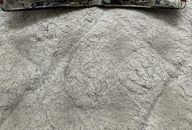 【実際の画像】　父が見せてきたもの