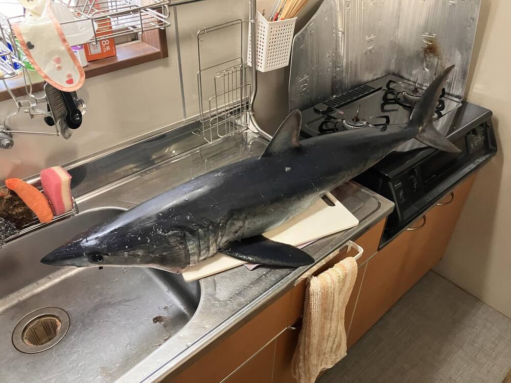 まさかの食材②（@yari_yosaさんより提供）