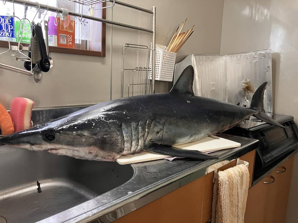 まさかの食材①（@yari_yosaさんより提供）