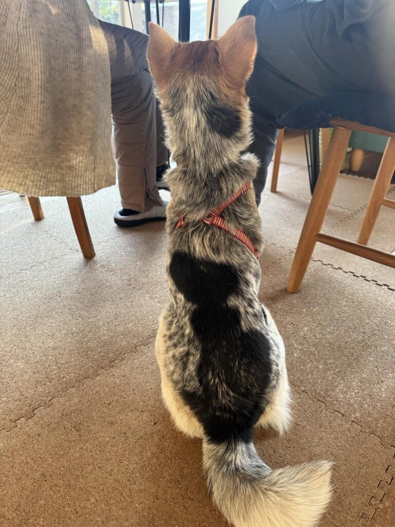 ふうちむっちーちゃん④（＠we.tookaholidayさんより提供）